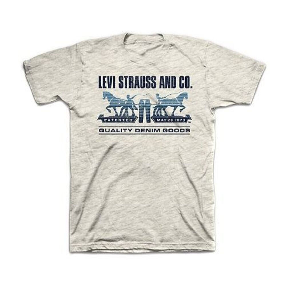 Levi's Men's Short Sleeve Regular Fit Graphic T-Shirt - Oatmeal - 3XLT